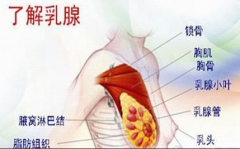 女性乳腺炎在治疗期间要注意什么